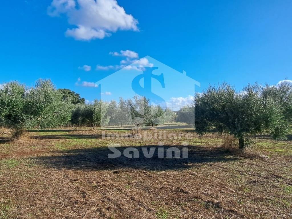 Terreno a Lanuvio in Via Solonio - Foto 5