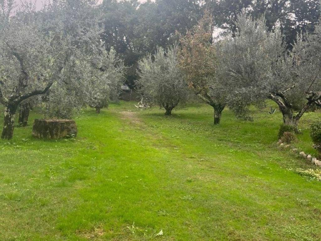 Villa a Vaglia in Via di Basciano - Foto 4