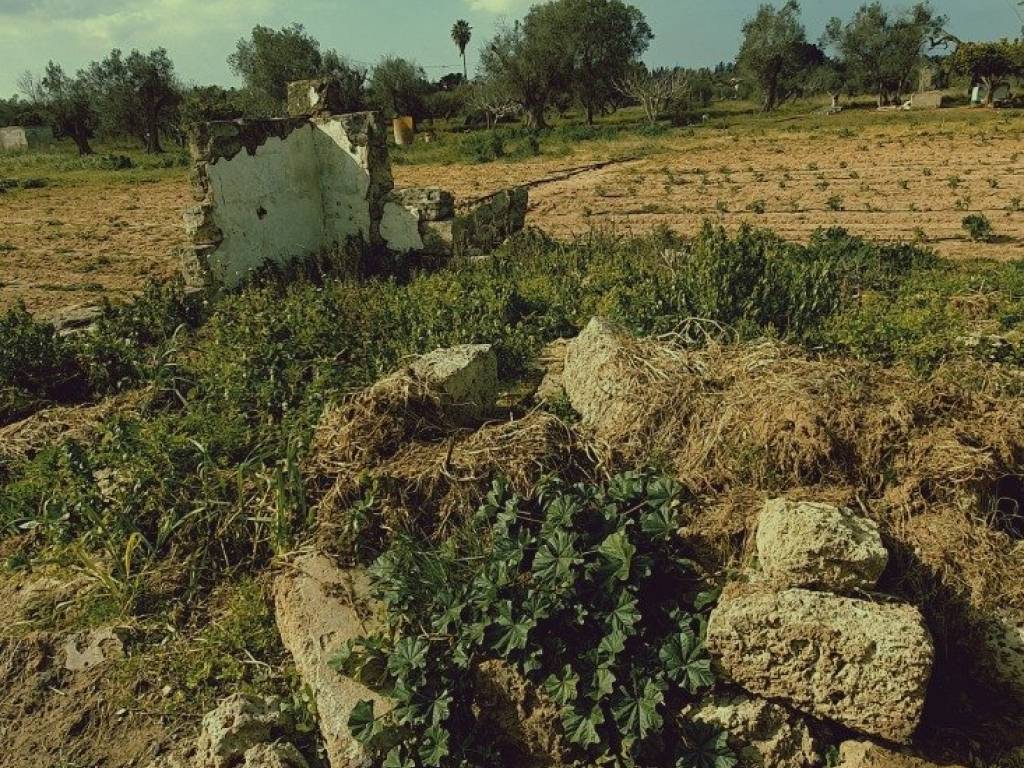 Terreno a Matino in Strada Vicinale Cucci - Foto 4