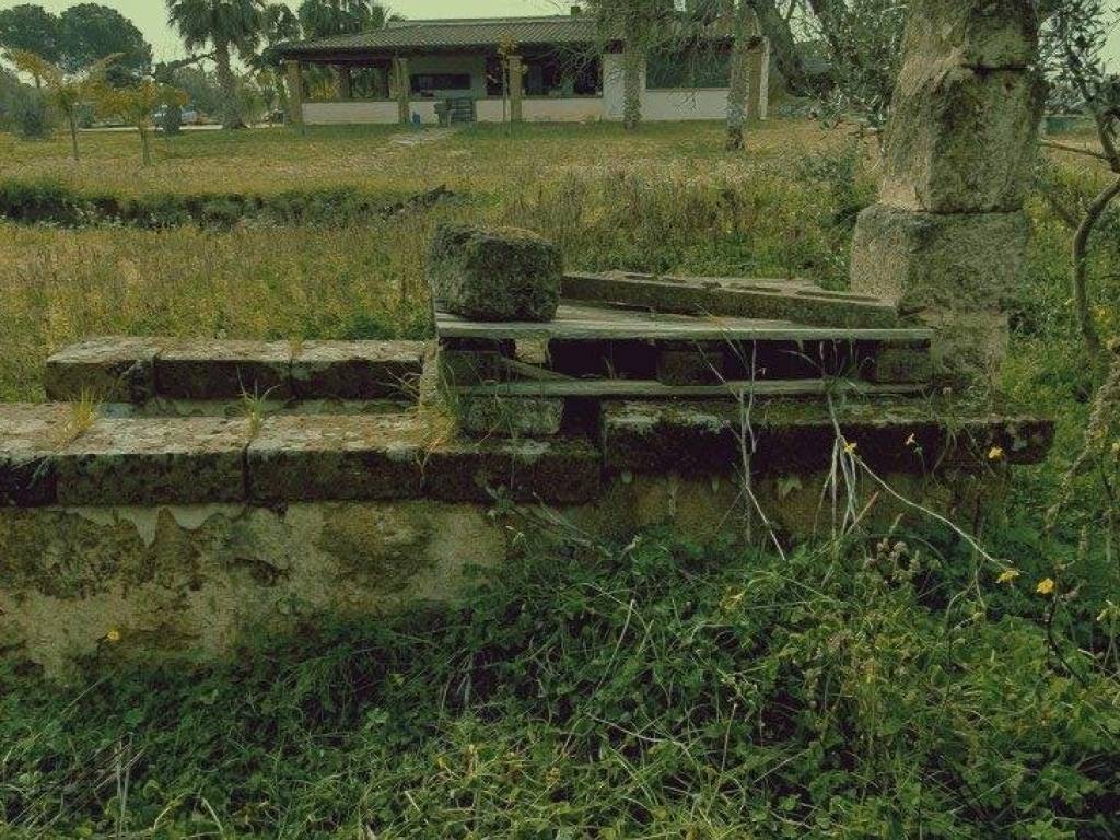 Terreno a Matino in Strada Vicinale Cucci - Foto 5