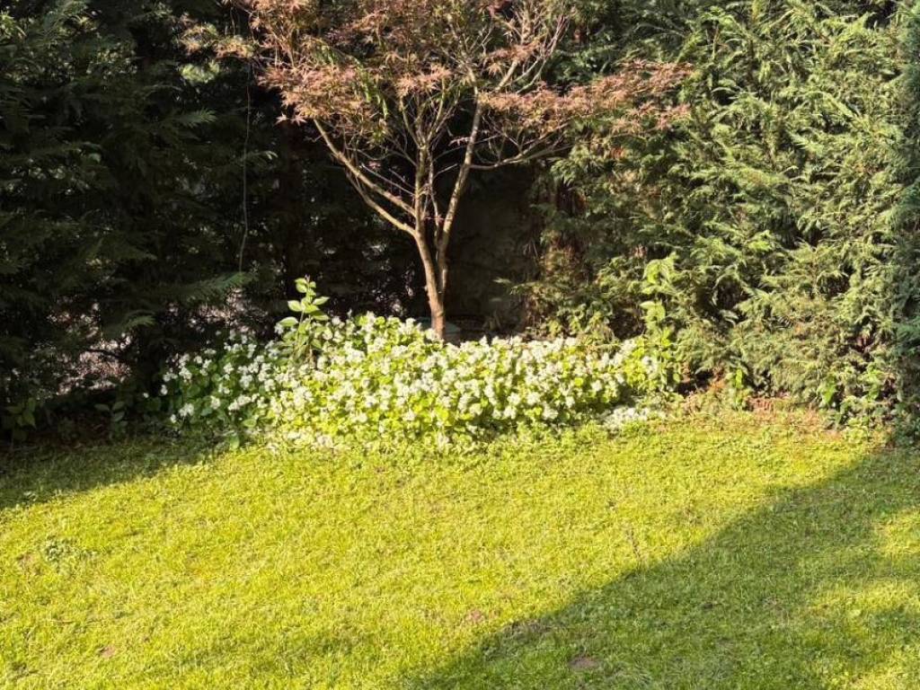Appartamento a Bergamo in Via Luigi Calvetti - Foto 4