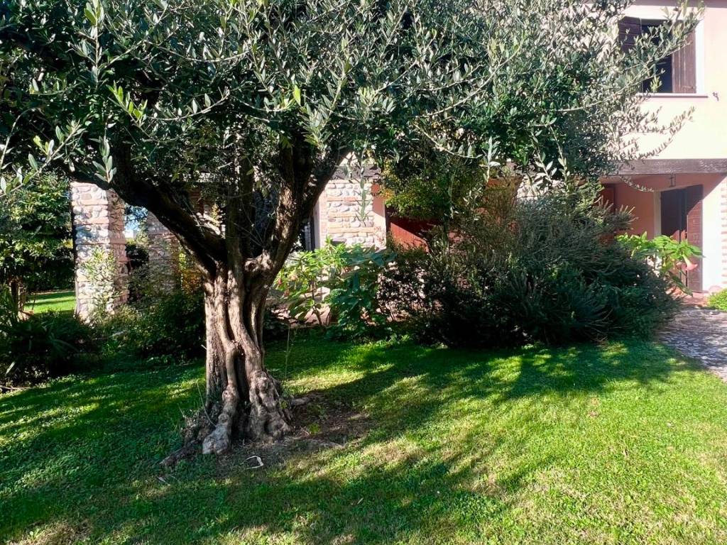 Villa a Carbonera - Foto 4