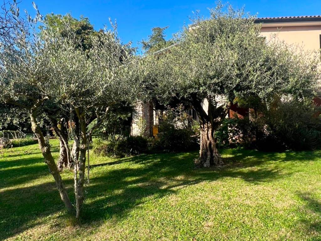 Villa a Carbonera - Foto 5