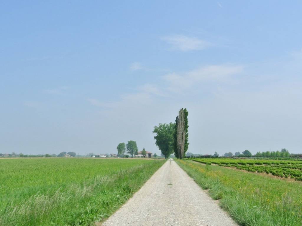 Terreno a Malalbergo in Via Canaletto - Foto 3
