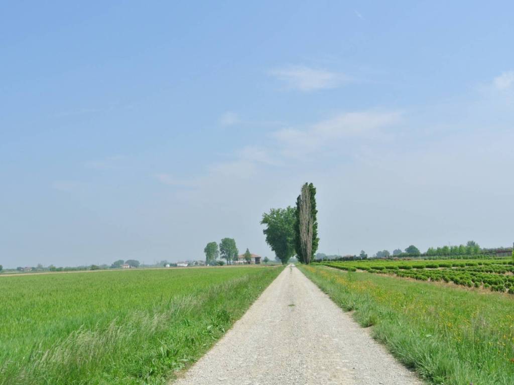 Terreno a Malalbergo in Via Canaletto - Foto 4