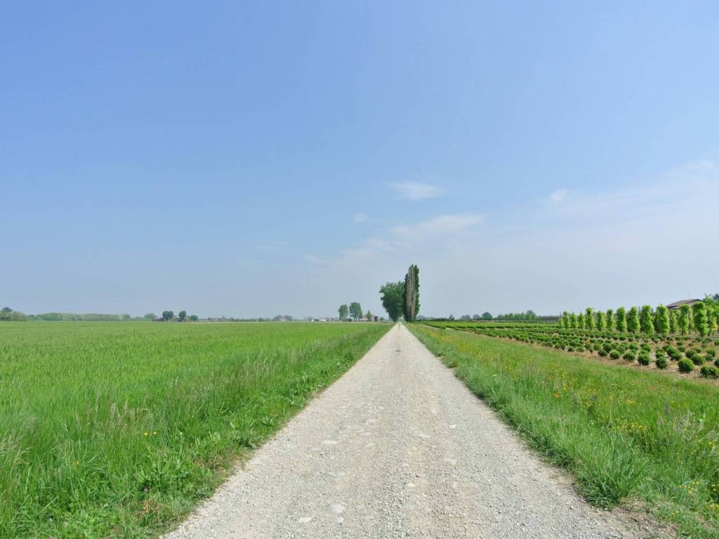 Terreno a Malalbergo in Via Canaletto - Foto 5
