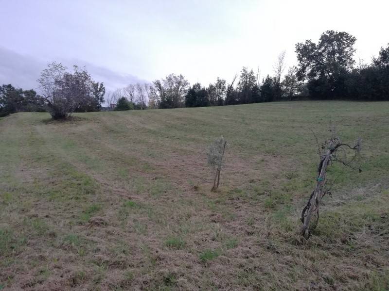 Terreno a Caiazzo in Via Lambrusco, 1 - Foto 2