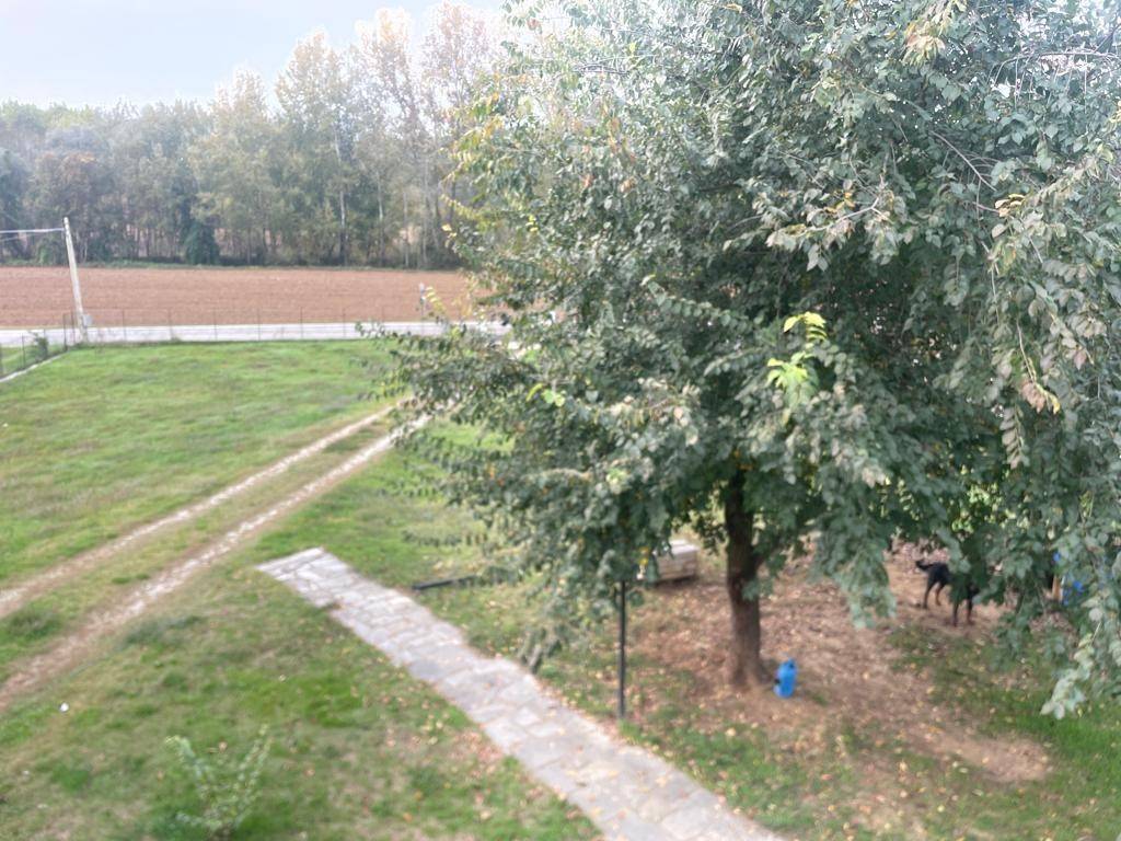 Rustico / casale a Viarigi in Frazione Accorneri Valle - Foto 5
