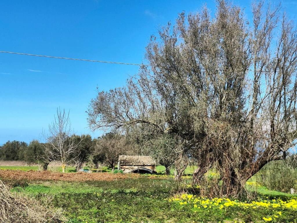 Terreno a Drapia in Via San Domenico Savio - Foto 2