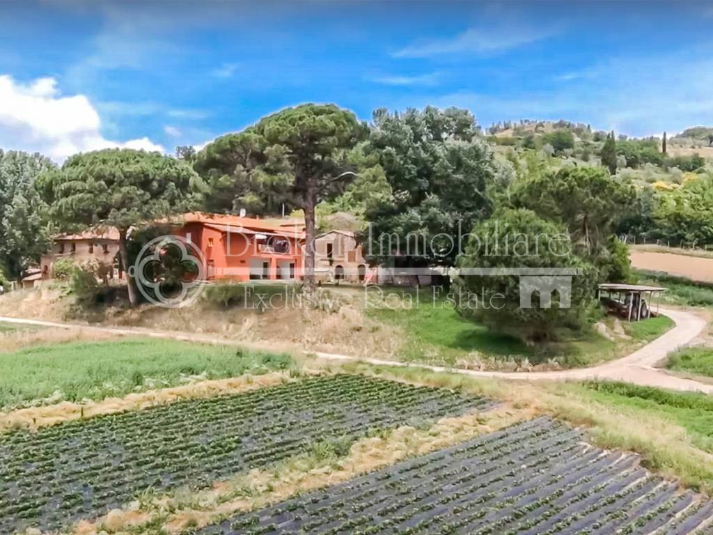 Rustico / casale a San miniato in Via Collebrunacchi - Foto 4