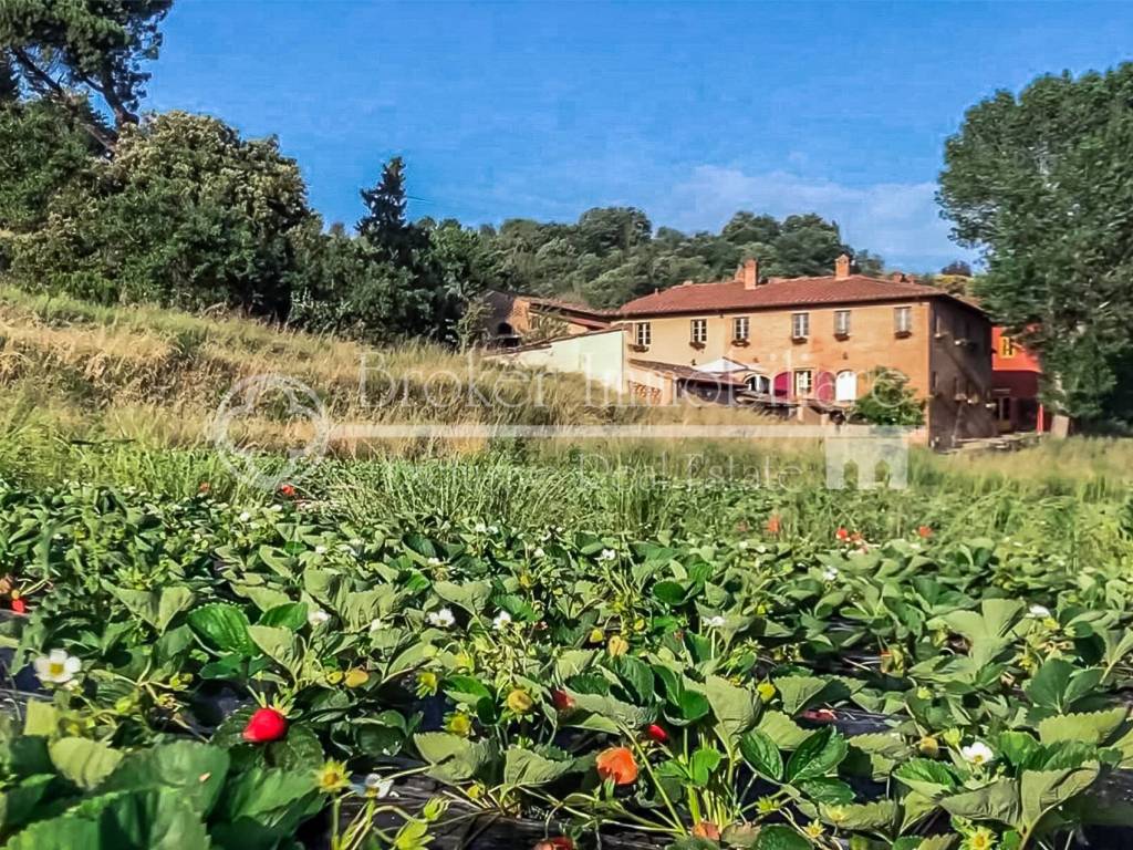 Rustico / casale a San miniato in Via Collebrunacchi - Foto 5