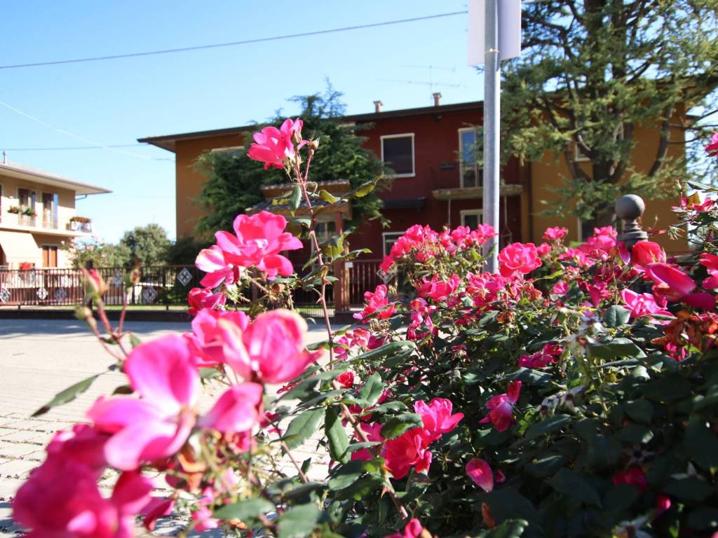 Appartamento a Longare in Via Borgo - Foto 2