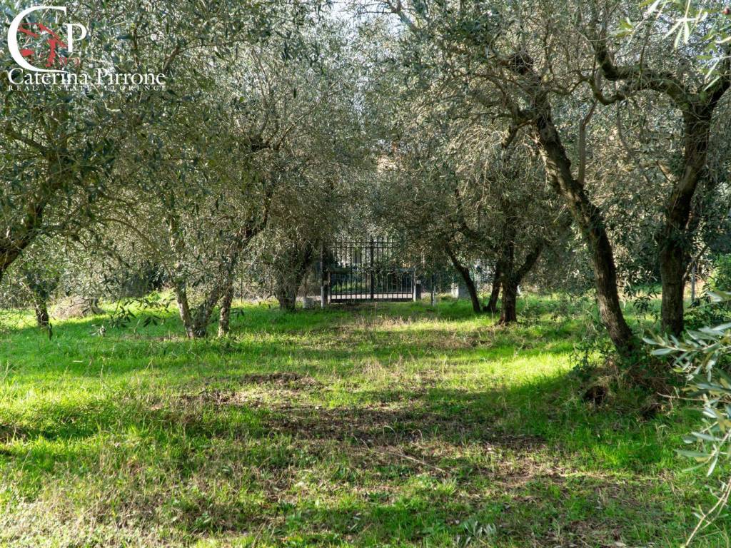 Rustico / casale a Fiesole in Via della Martellina, 10 - Foto 3