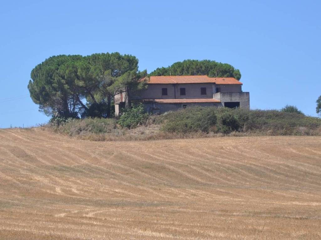 Rustico / casale a Bibbona in Via Serra di Faltona - Foto 2
