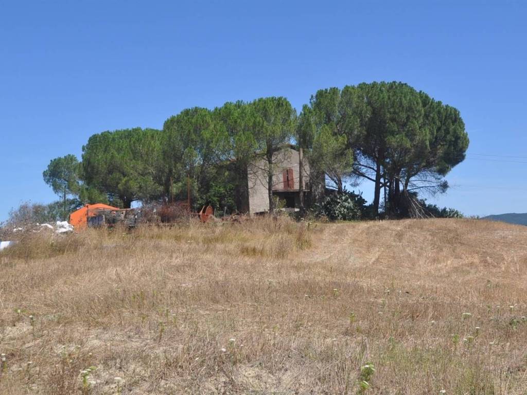 Rustico / casale a Bibbona in Via Serra di Faltona - Foto 3