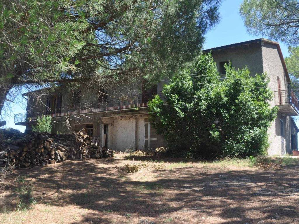 Rustico / casale a Bibbona in Via Serra di Faltona - Foto 4