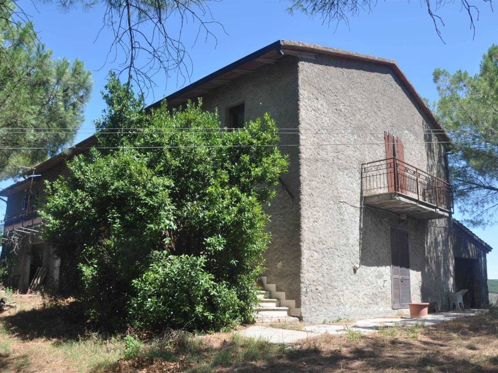Rustico / casale a Bibbona in Via Serra di Faltona - Foto 5