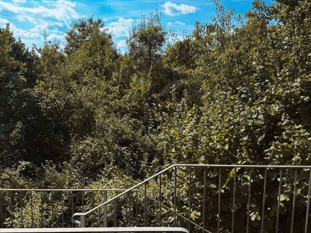 Appartamento a Cassine in Strada Verzenasco, 50 - Foto 2