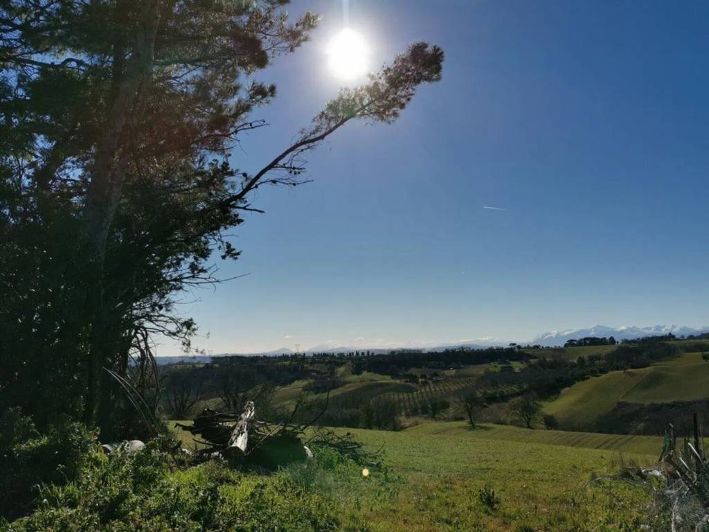 Rustico / casale a Treia in Viale A. Diaz - Foto 4