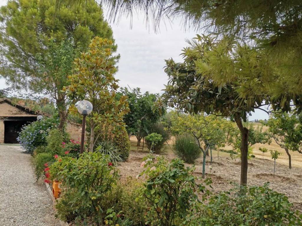 Rustico / casale a Recanati in Viale Cesare Battisti - Foto 5