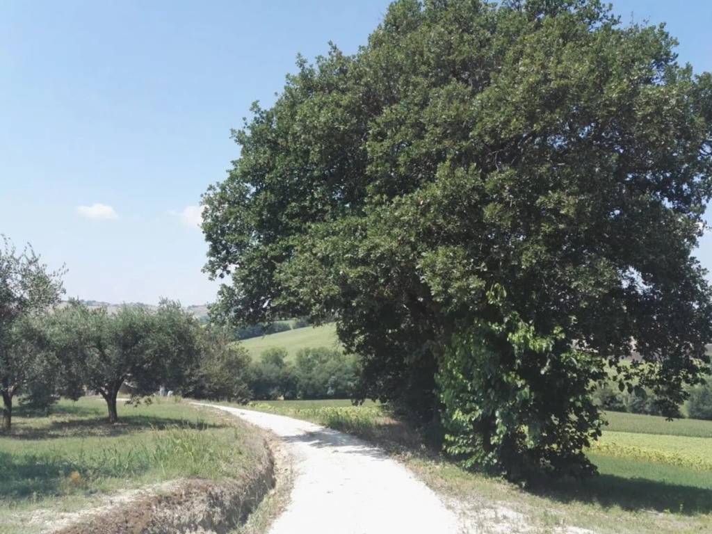Rustico / casale a Recanati in Viale Cesare Battisti - Foto 4