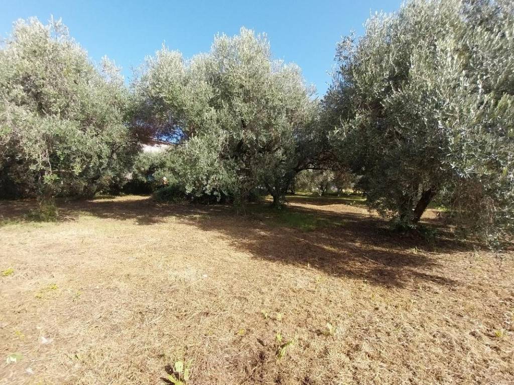 Terreno a Lariano in Via San Marco Papa - Foto 3