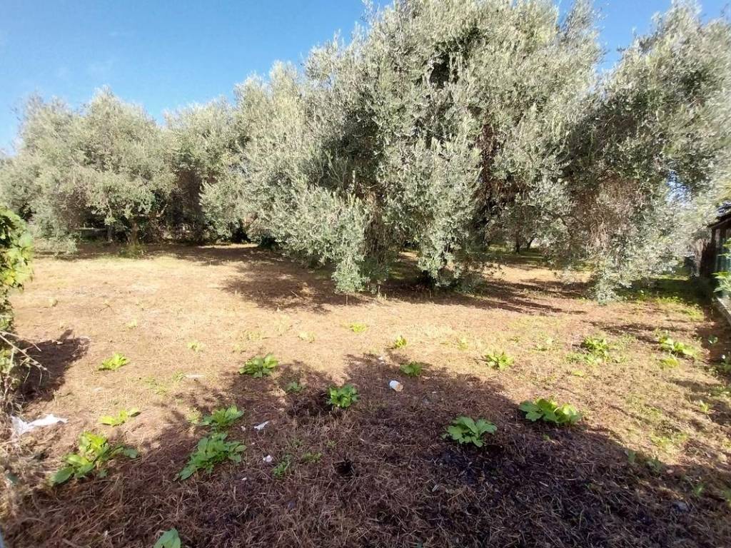 Terreno a Lariano in Via San Marco Papa - Foto 4