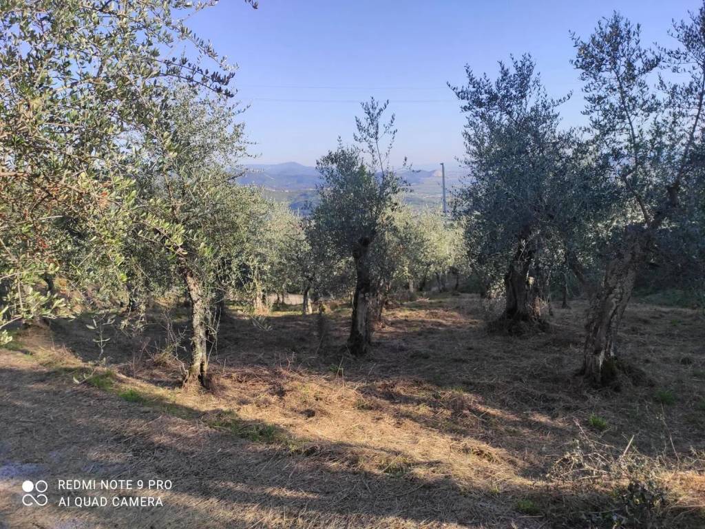 Terreno a Massarosa in Corsanico No Number - Foto 2
