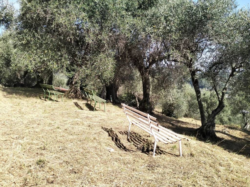 Terreno a Massarosa in Bargecchia No Number - Foto 2