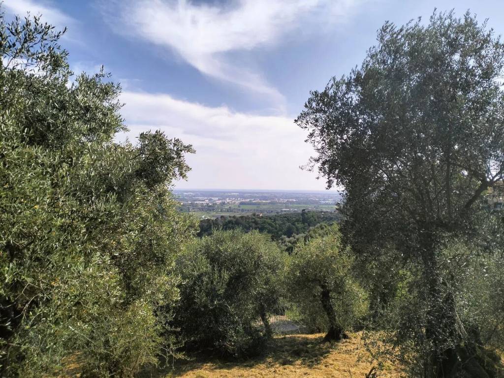 Terreno a Massarosa in Bargecchia No Number - Foto 3