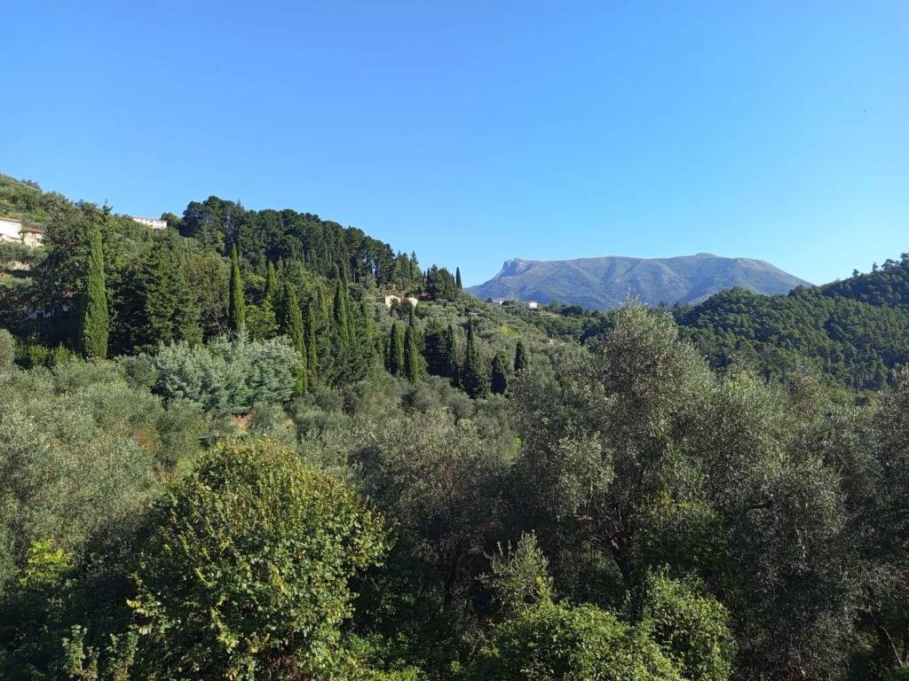 Villa a Massarosa in Bargecchia No Number - Foto 3