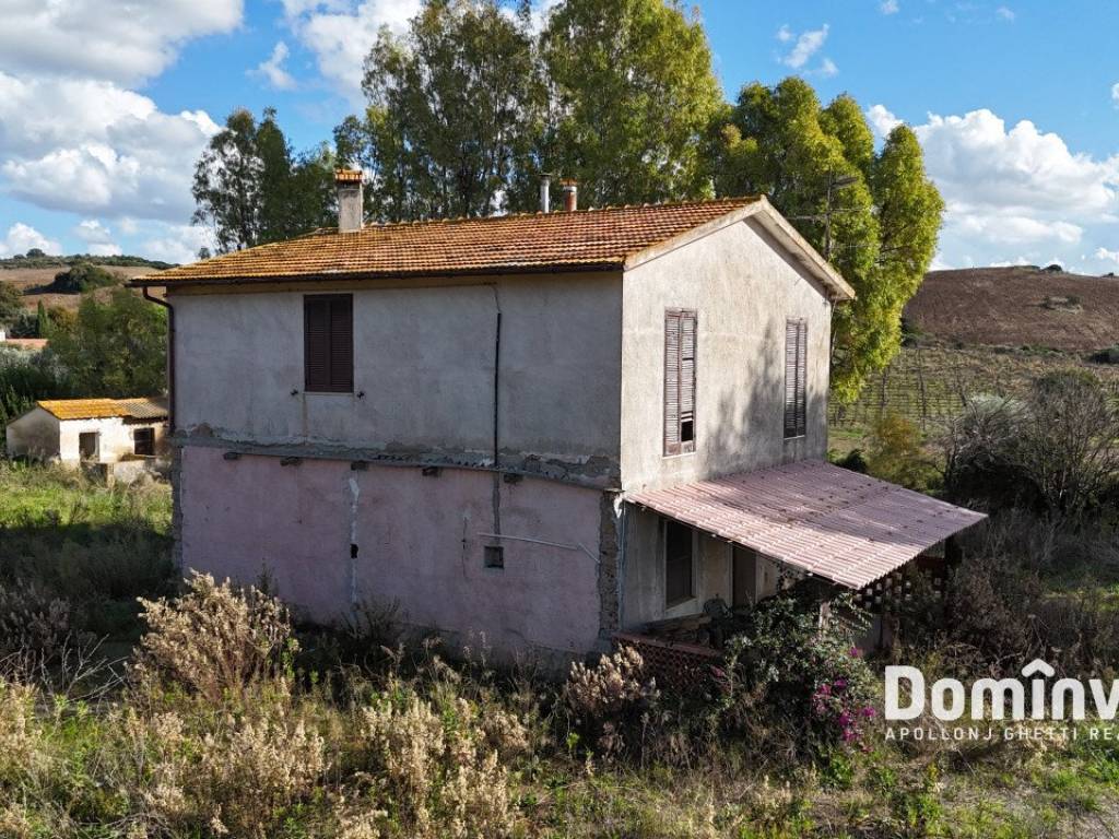 Rustico / casale a Capalbio in Strada Cava del Gesso - Foto 3