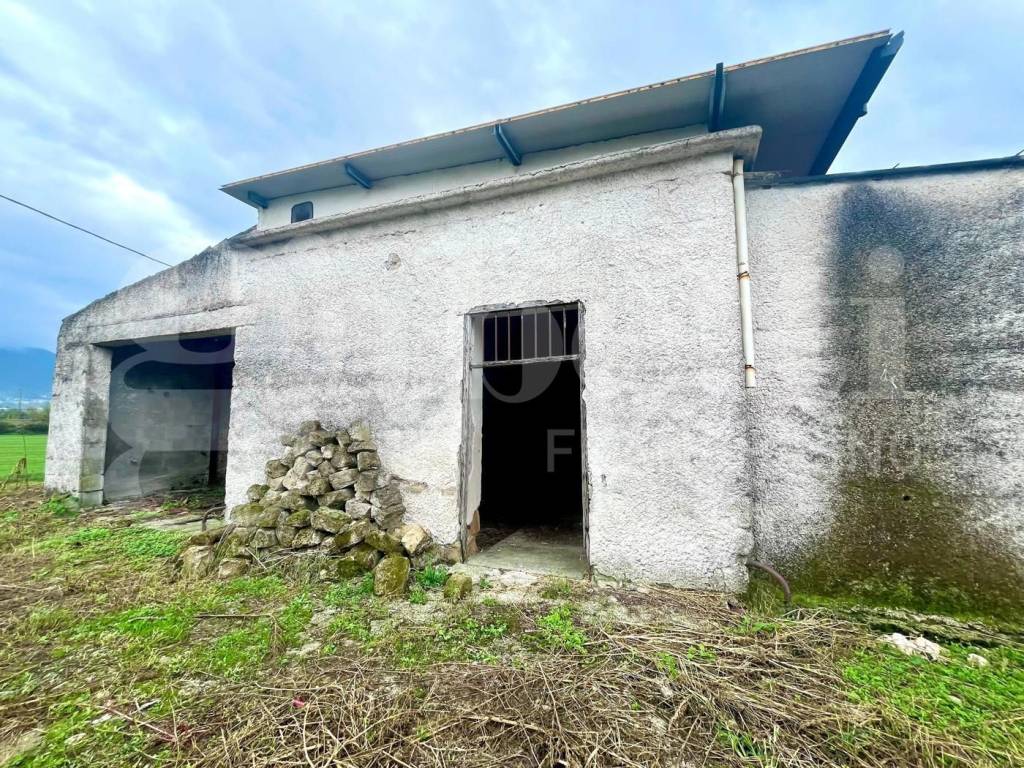 Rustico / casale a Alife in Via Scafa, snc - Foto 3