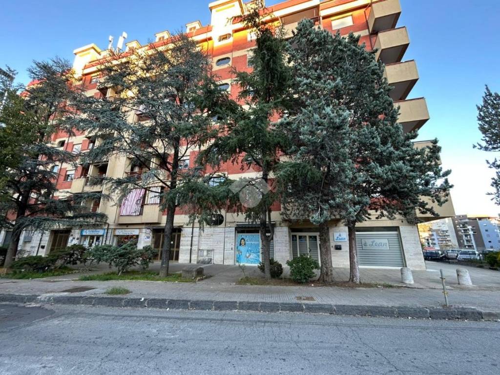 Appartamento a Cosenza in Viale Paolo Borsellino, 14 - Foto 3