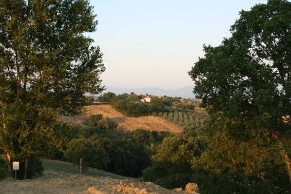 Immobile a Montefalco - Foto 2