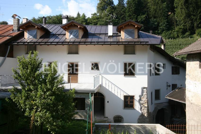 immagine di copertina