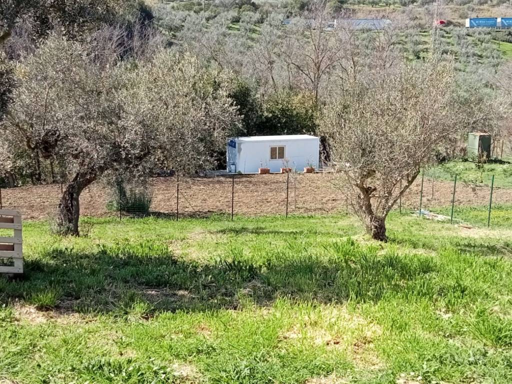 Terreno a Silvi in Contrada San Silvestro - Foto 2
