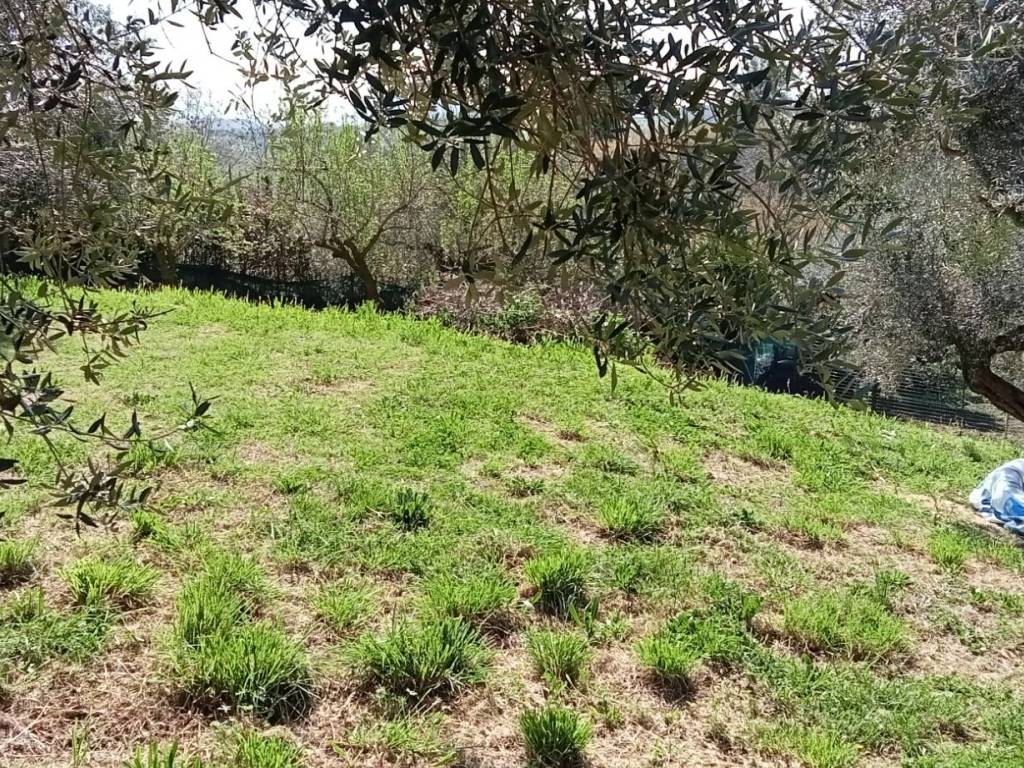 Terreno a Silvi in Contrada San Silvestro - Foto 3