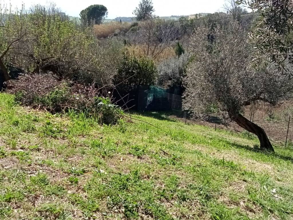 Terreno a Silvi in Contrada San Silvestro - Foto 4