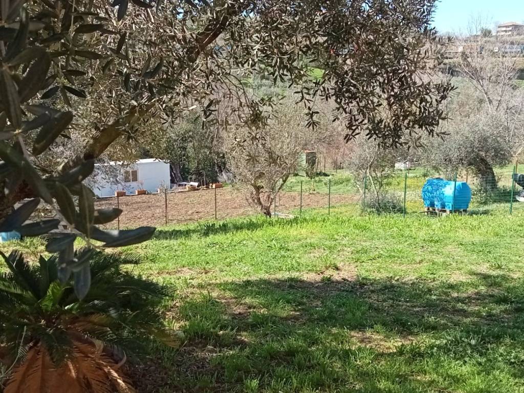 Terreno a Silvi in Contrada San Silvestro - Foto 5