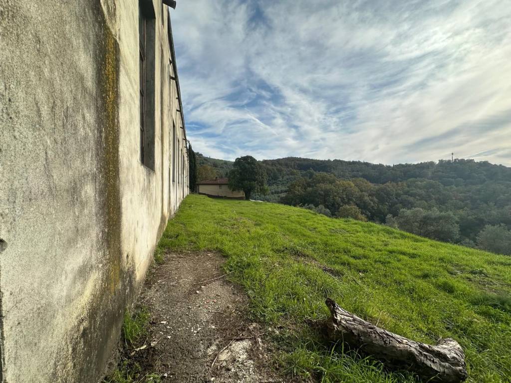 Rustico / casale a Pistoia - Foto 3