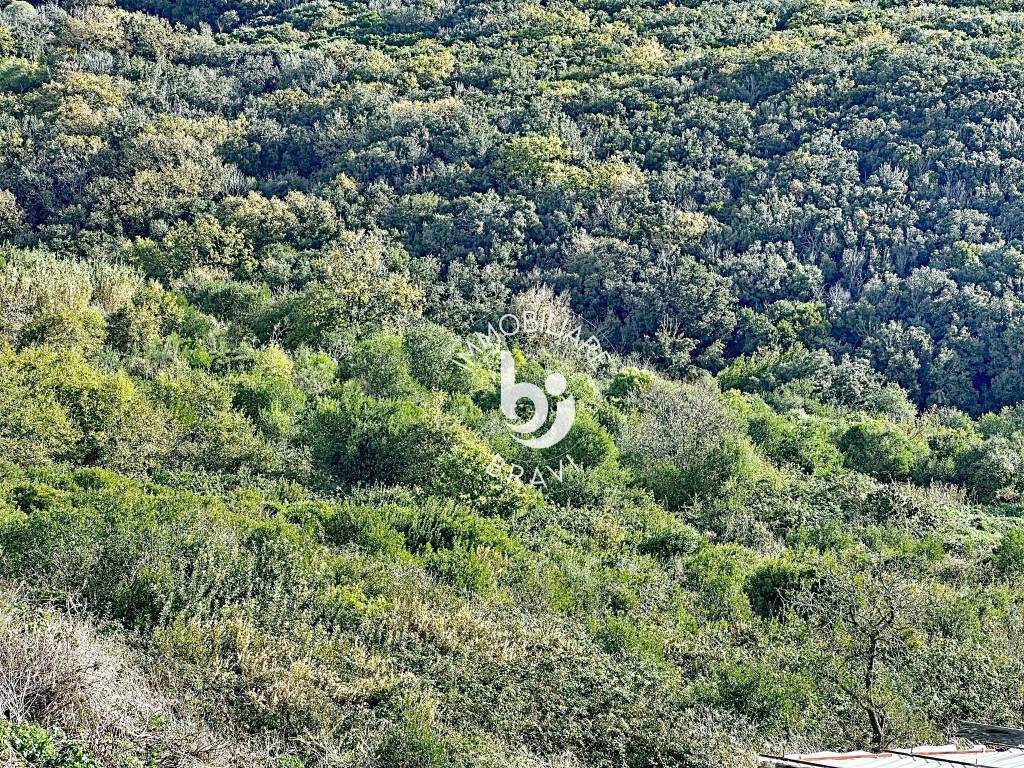 Terreno a Santa marinella in Strada Rimessa della Guardiola - Foto 3