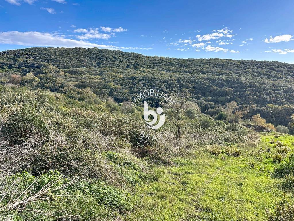 Terreno a Santa marinella in Strada Rimessa della Guardiola - Foto 4