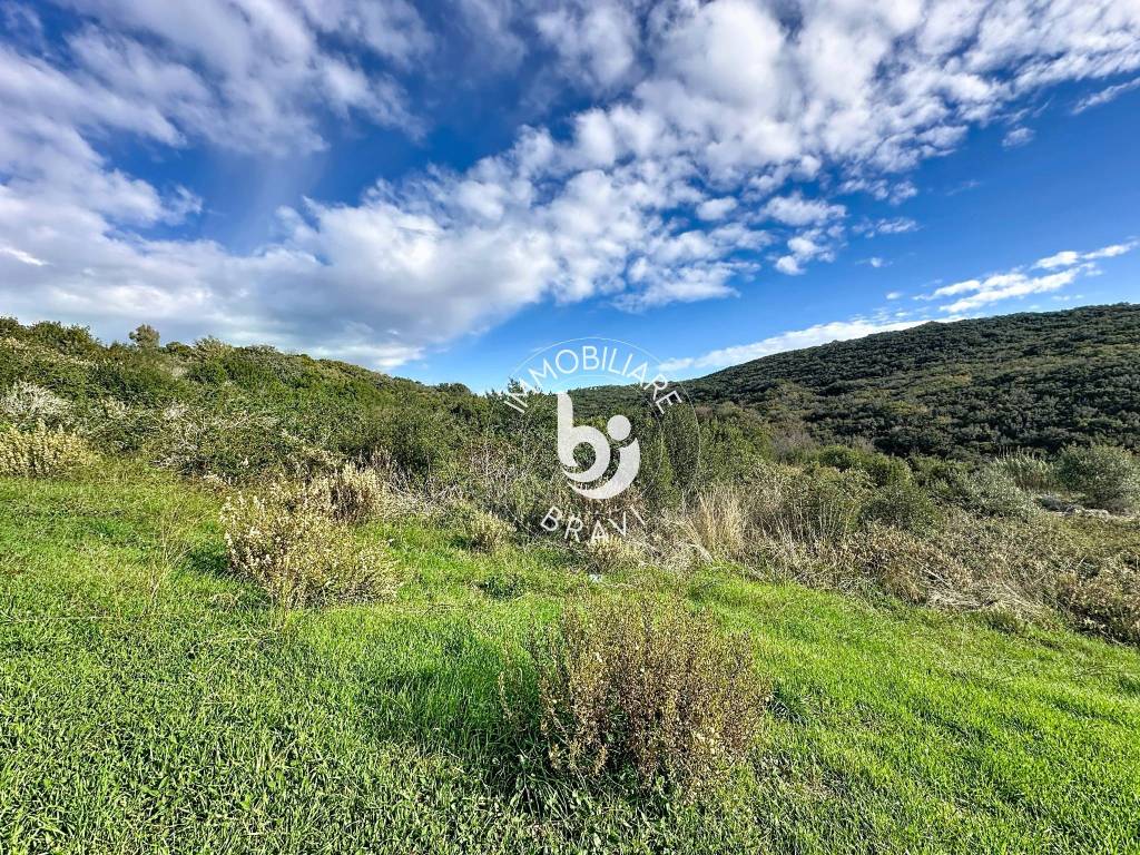 Terreno a Santa marinella in Strada Rimessa della Guardiola - Foto 5
