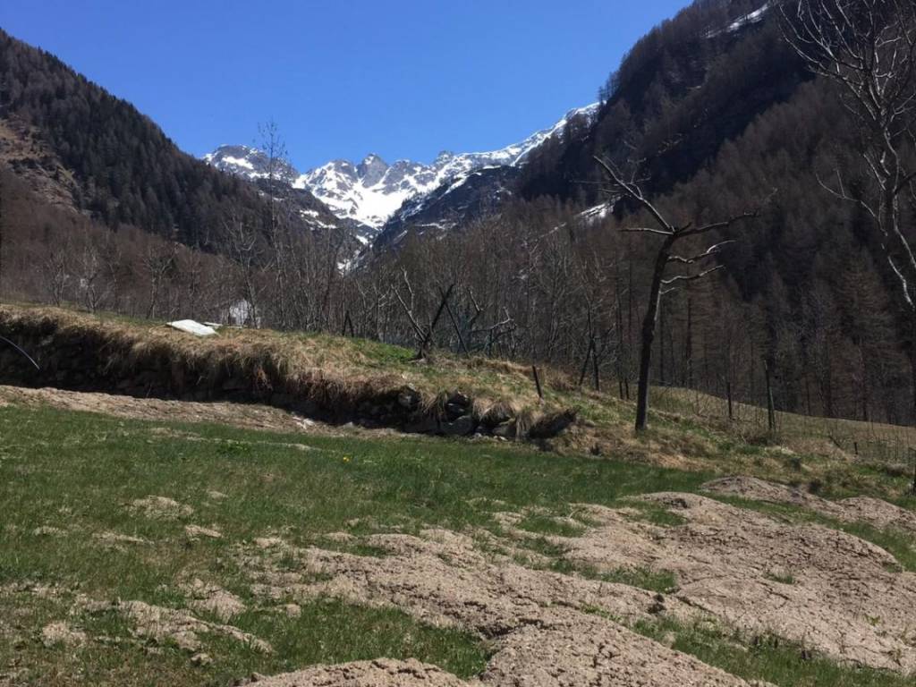 Rustico / casale a Campodolcino in Via Fraciscio, 35 - Foto 3