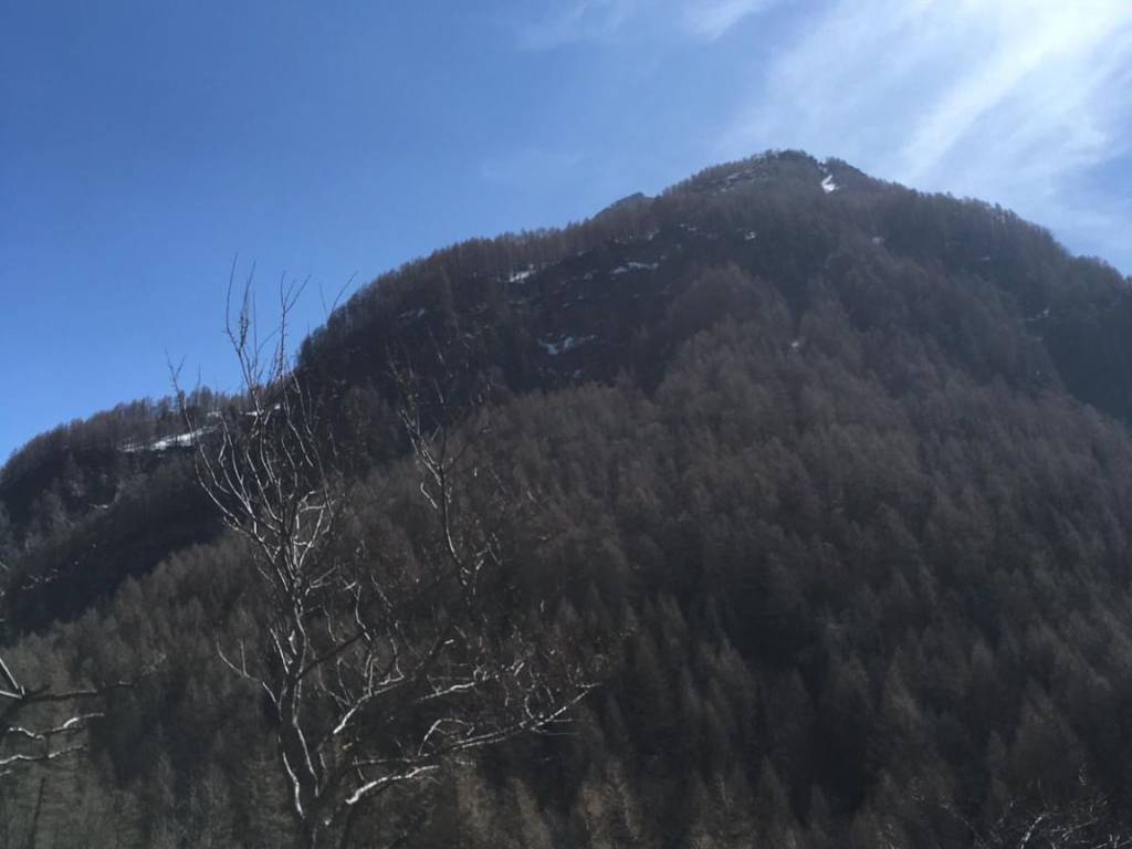 Rustico / casale a Campodolcino in Via Fraciscio, 35 - Foto 4