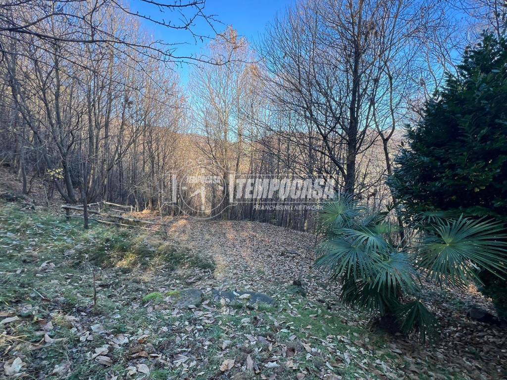 Terreno a Foresto sparso in Via Gafforelli, Foresto Sparso - Foto 2