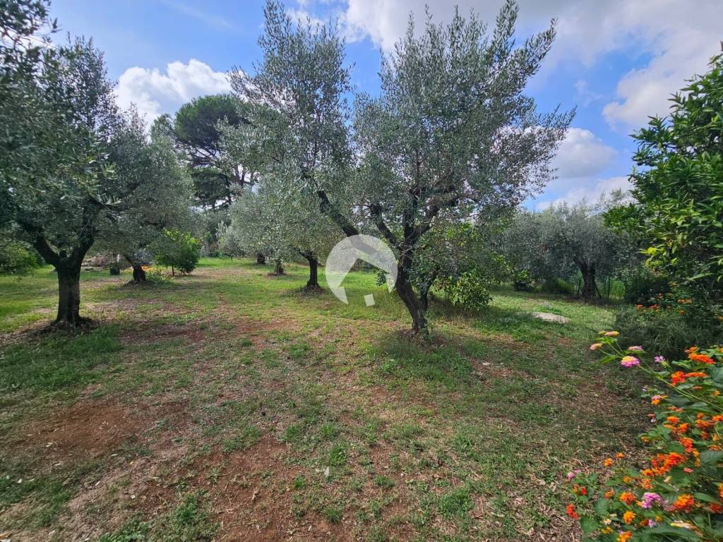 Villa a Velletri in Contrada Colle D'Oro - Foto 3