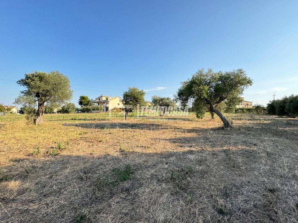 Terreno a Ripa teatina in Via Madonna della Concezione 19 - Foto 3