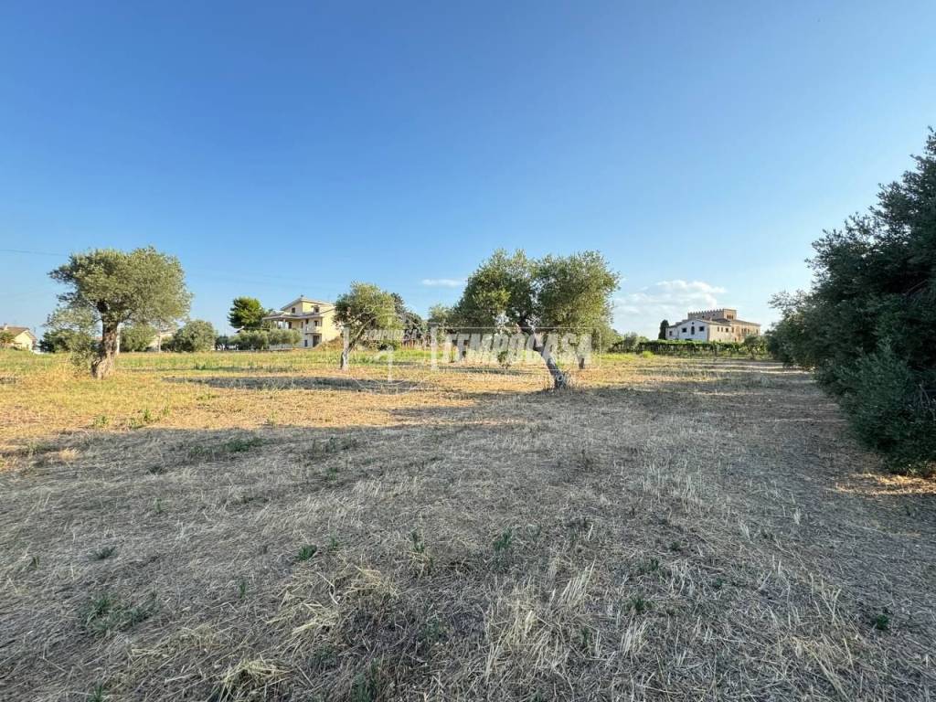 Terreno a Ripa teatina in Via Madonna della Concezione 19 - Foto 5